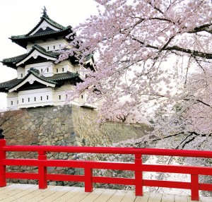 sp_image1