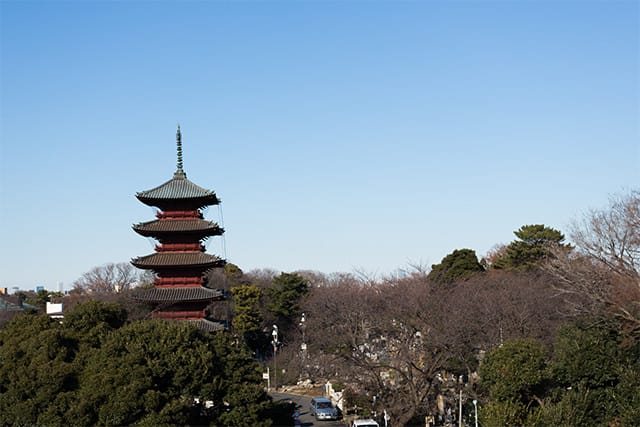 最勝院五重塔